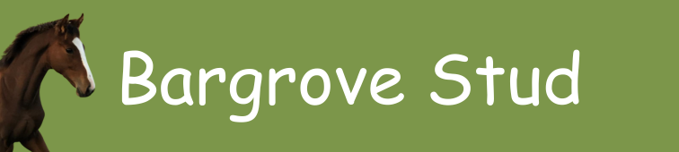 Sponsor